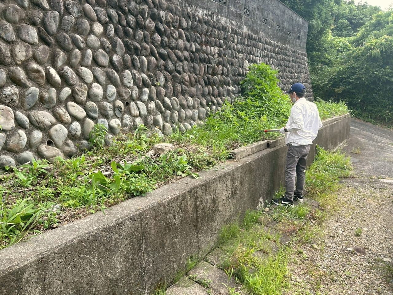 除草・害虫対策