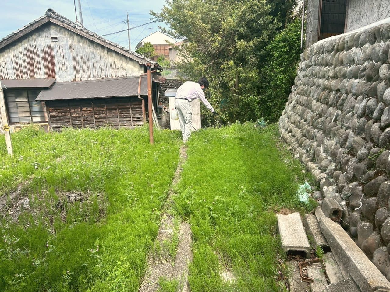 草刈り・敷地の環境整備